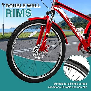 赤ハーマン社オリジナルテディベア　中国親子クマ３輪自転車乗り Amazon | 折りたたみ三輪車、高齢者用自転車、三輪クルーザー