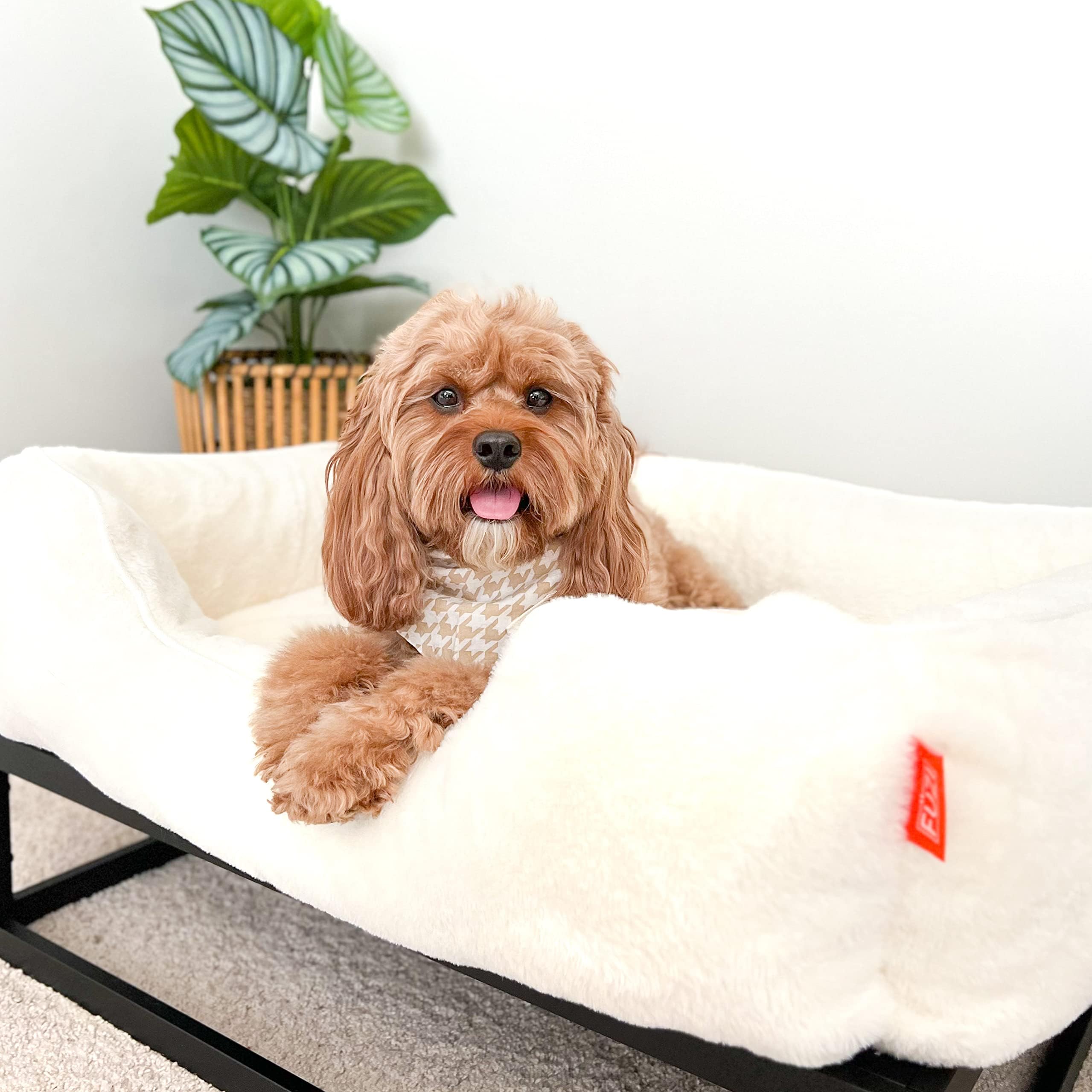 FUZI Elevated Dog Bed Large with Extra Cover, Luxury Raised Dog Beds, Removable and Machine Washable Bed Cover, Indoor/Outdoor Orthopedic Pet Bed, Large 35.6x28.5x18 Soft White and Black Base - image 8