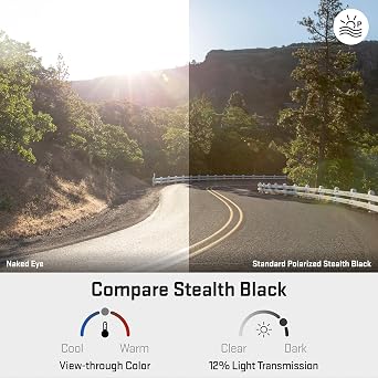 Revant Replacement Lenses for Kaenon Burnet