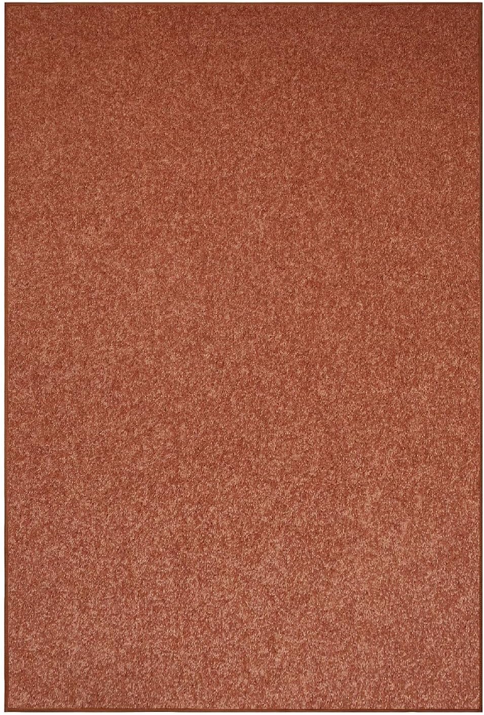 Rust Pet & Kid Friendly Stain Resistant Area Rug