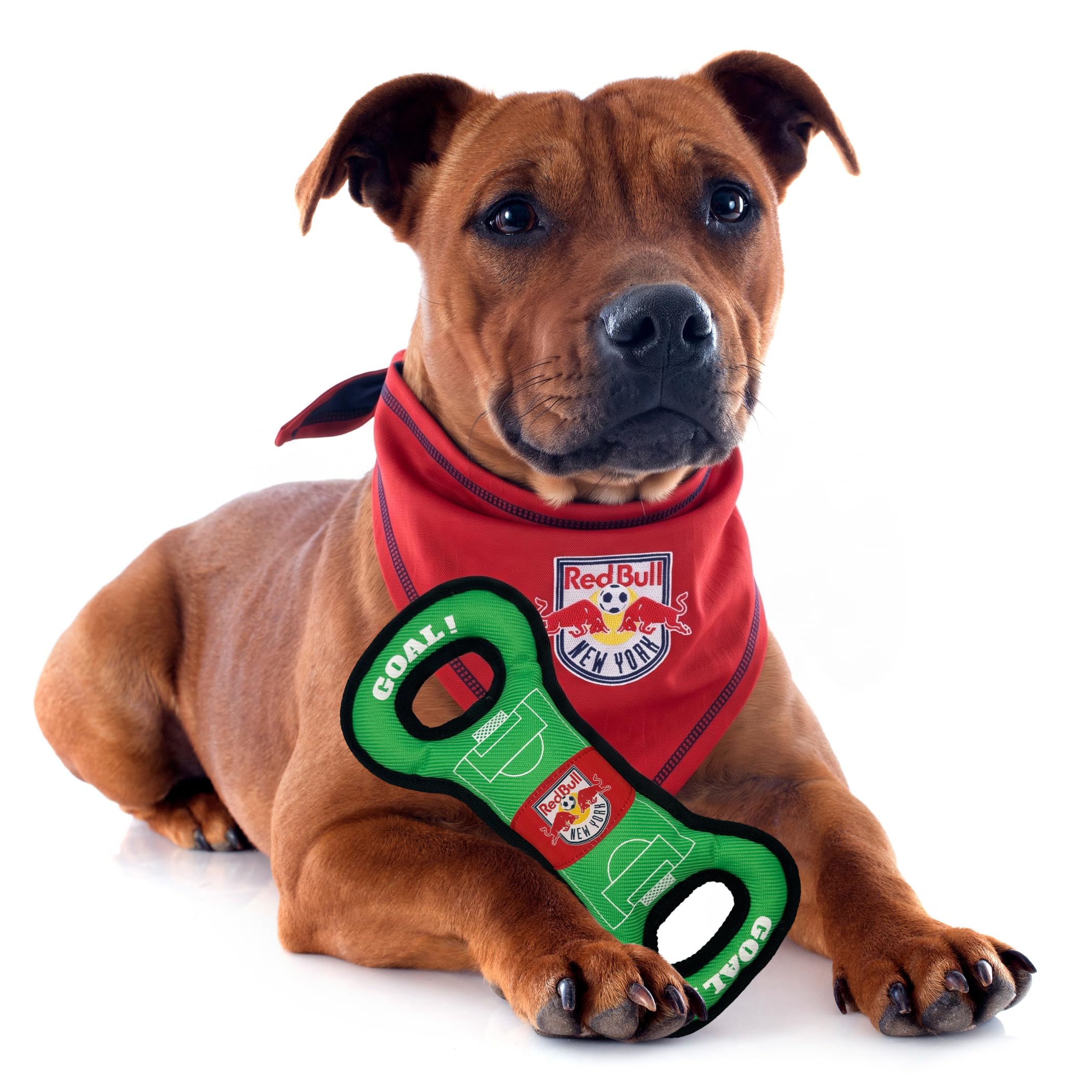 New York Red Bulls Bandana pour Chien Taille L