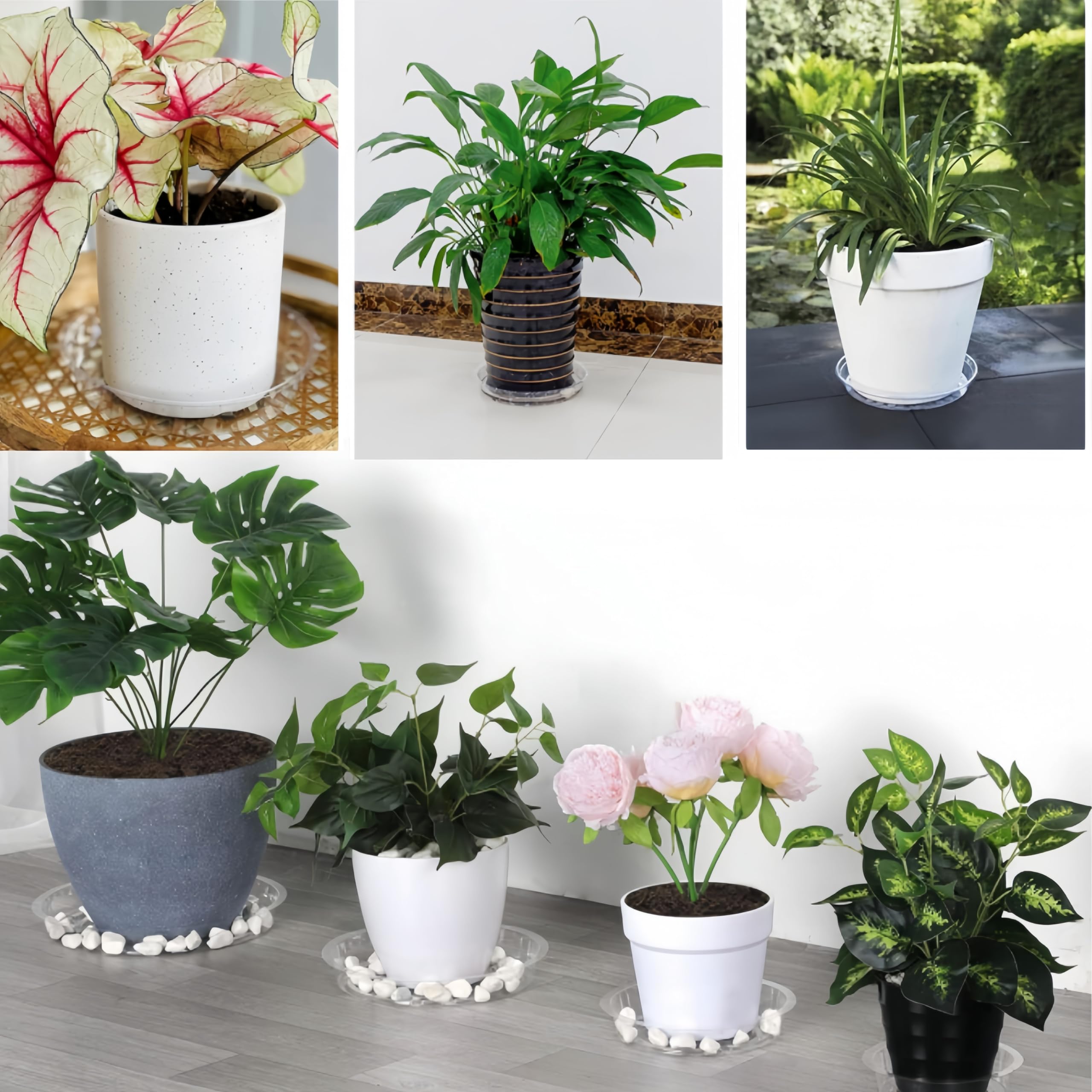 Lot De 24 Soucoupes Transparentes Hacaroa - 4 Tailles (15 à 30cm) - Pour Plantes Intérieur/extérieur - Plastique Résistant