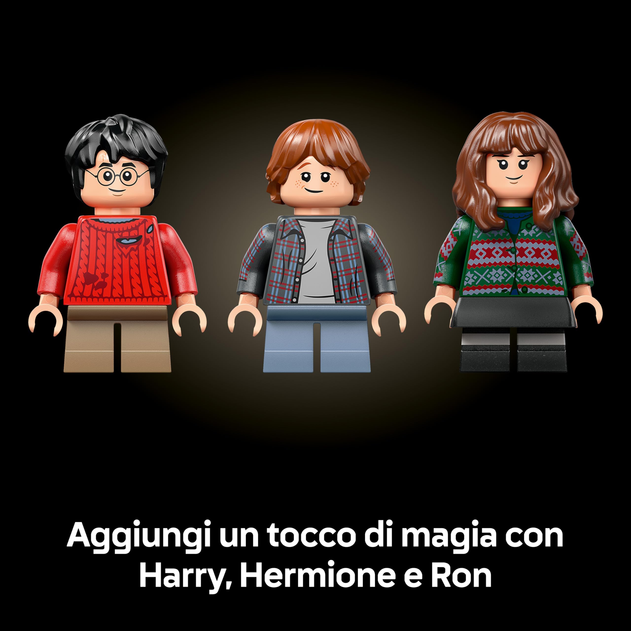 LEGO Harry Potter Pietra Filosofale – Edizione del Collezionista - Modellino Fai da Te - Decorazione per la Camera da Letto con Scene del Film, Edvige e 3 Minifigure - Regalo per Fan e Adulti - 76466