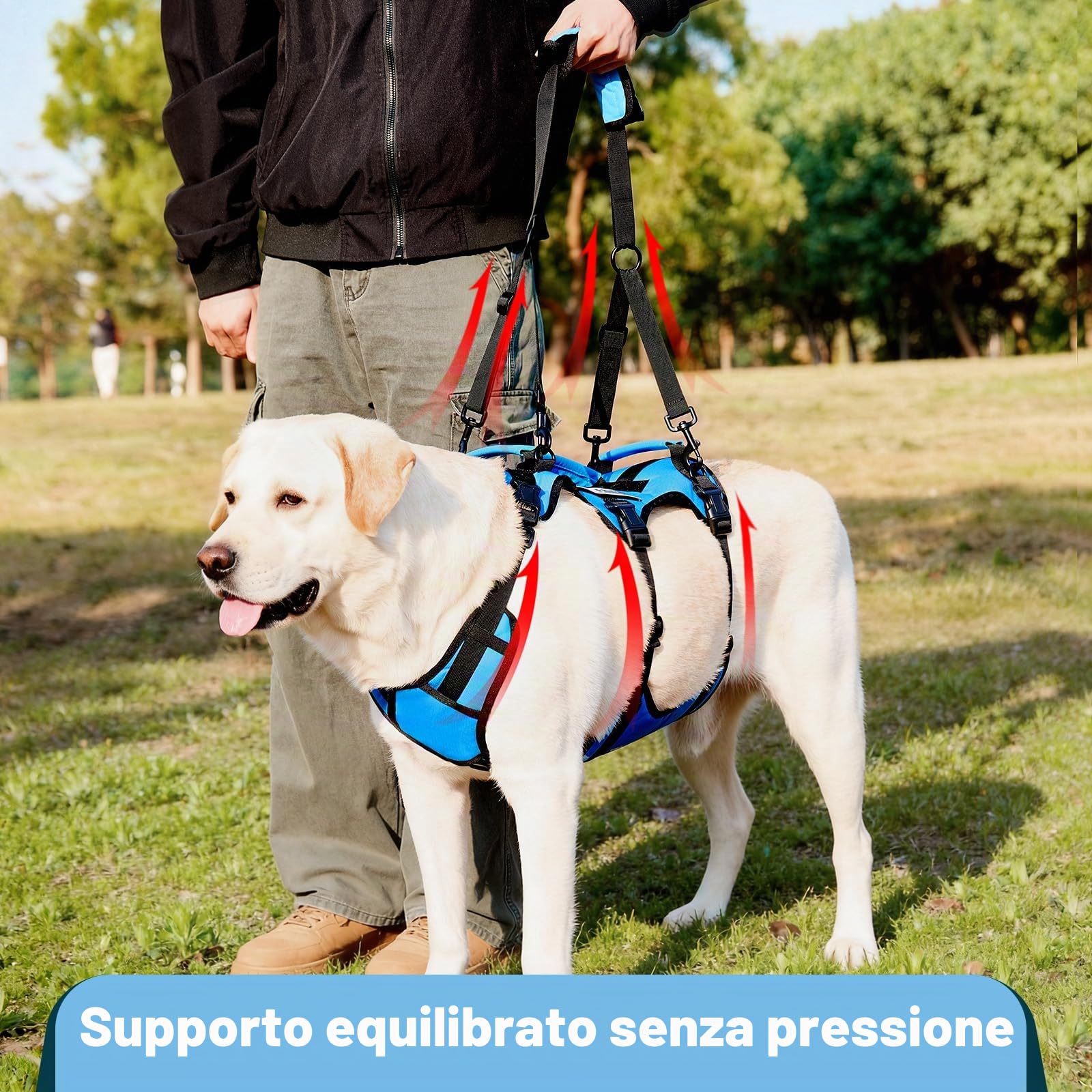 imbracatura di sollevamento per cani medi, supporto completo con 3 maniglie e tracolla, aiuto mobilità per cani anziani con artrite, assistenza scale, blu, M