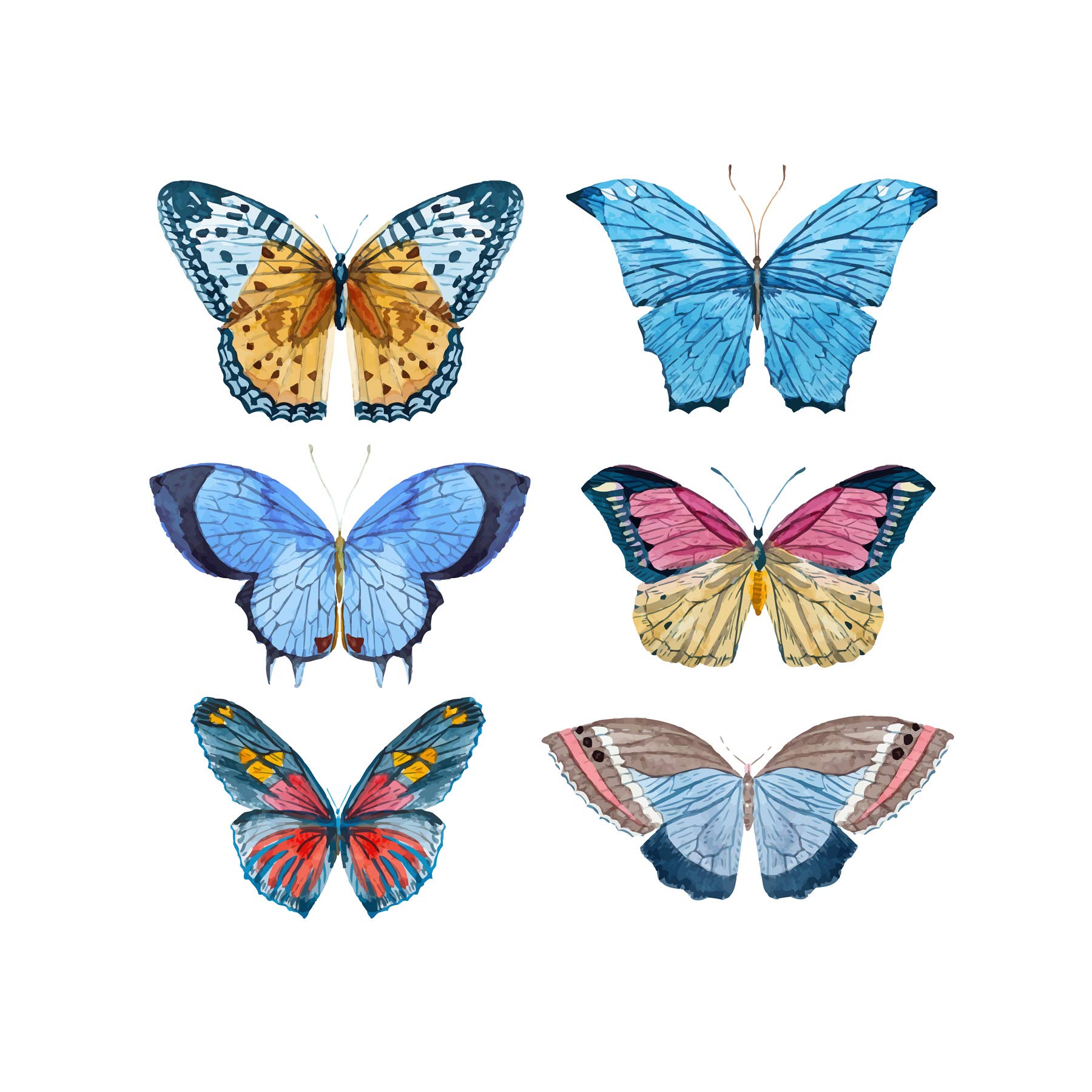 Wee Blue Coo Butterflies Watercolour Large Wall Art Print Canvas Premium Poster