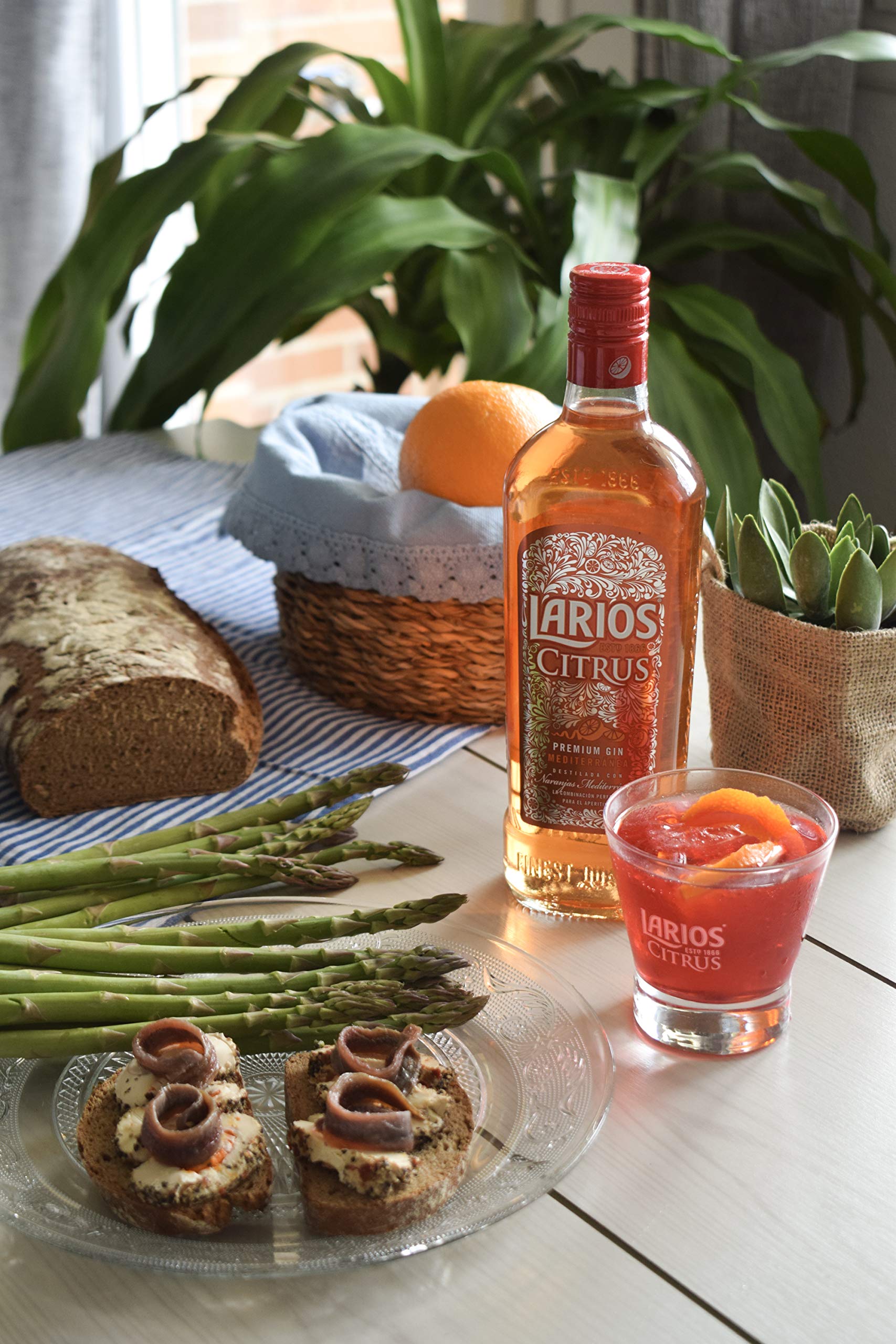 LARIOS ginebra citrus botella 70 cl