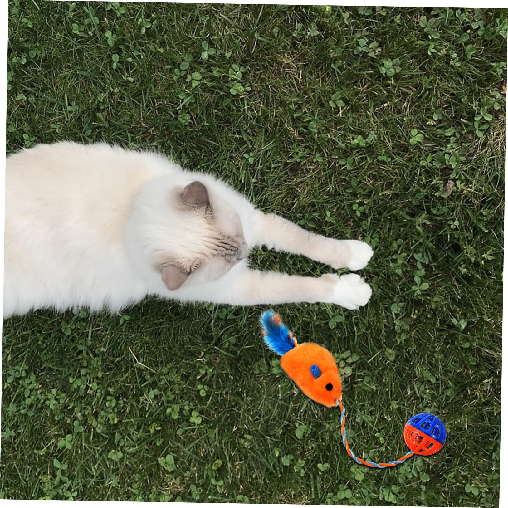 VICASKY Jouet Interactif pour Chat Intérieur en Peluche et Plastique avec Cloche, Jouet Compact Antistress pour Chatons, pour Jouer et Stimuler