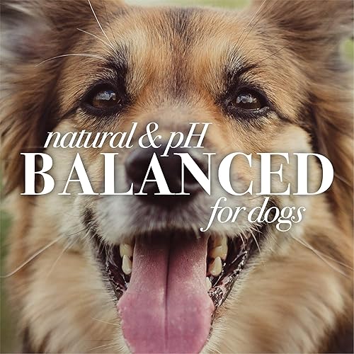 Miniatura 9 de Burt's Bees for Pets Champú calmante natural para picazón con madreselva  Champú para perros antipicazón para todos los perros con piel seca,