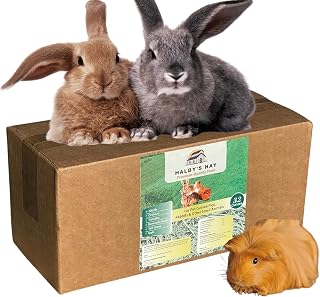 Alfallfa Hay Alfalfa Hay, 2 Pounds (32 Ounces), Feed for Rabbits, Guinea Pigs, Chinchillas, hampsters and The Rest of Our Small Pets
