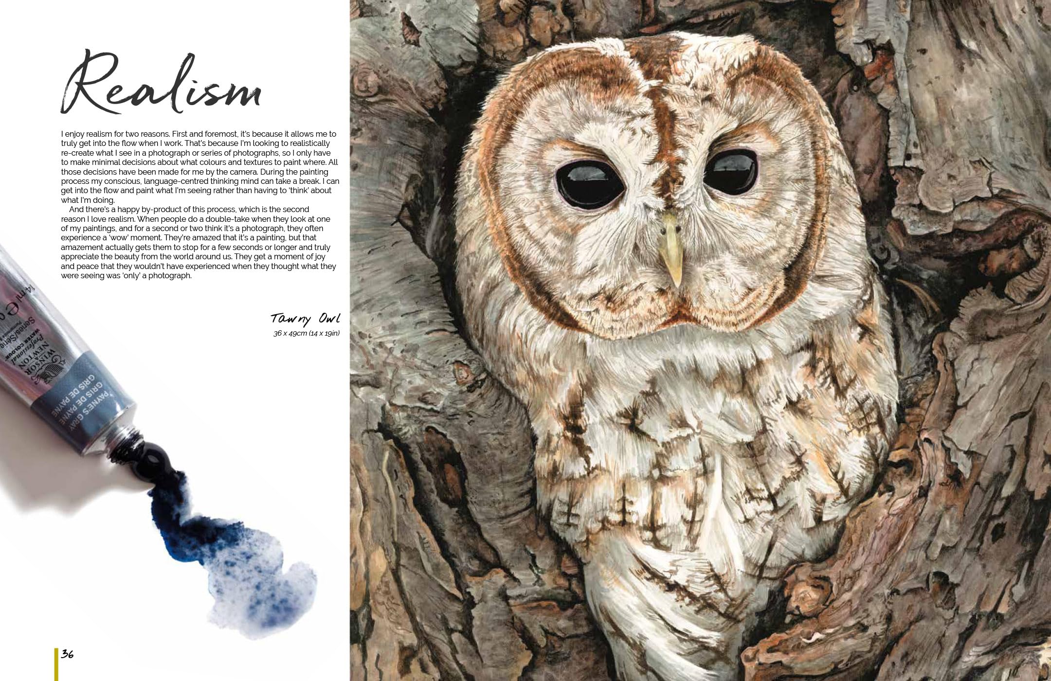 Anna Mason's Watercolour World (paperback edition): Create Vibrant, Realistic Paintings Inspired by Nature