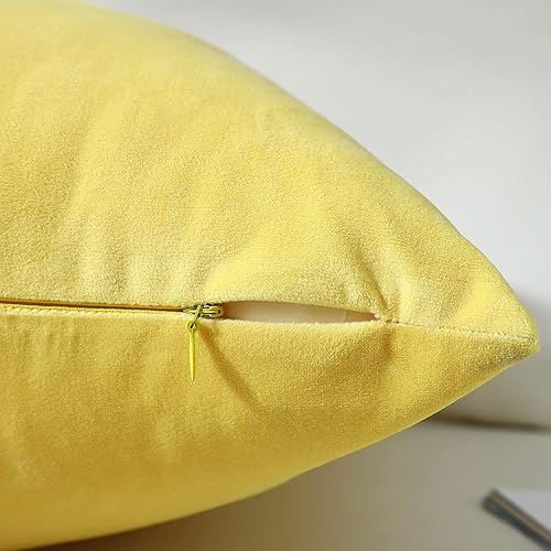 Miniatura 4 de mixeoo Comfy - Juego de 2 fundas de almohada decorativas lumbares de terciopelo grueso súper suave, decoración del hogar para sofá, silla de sala de