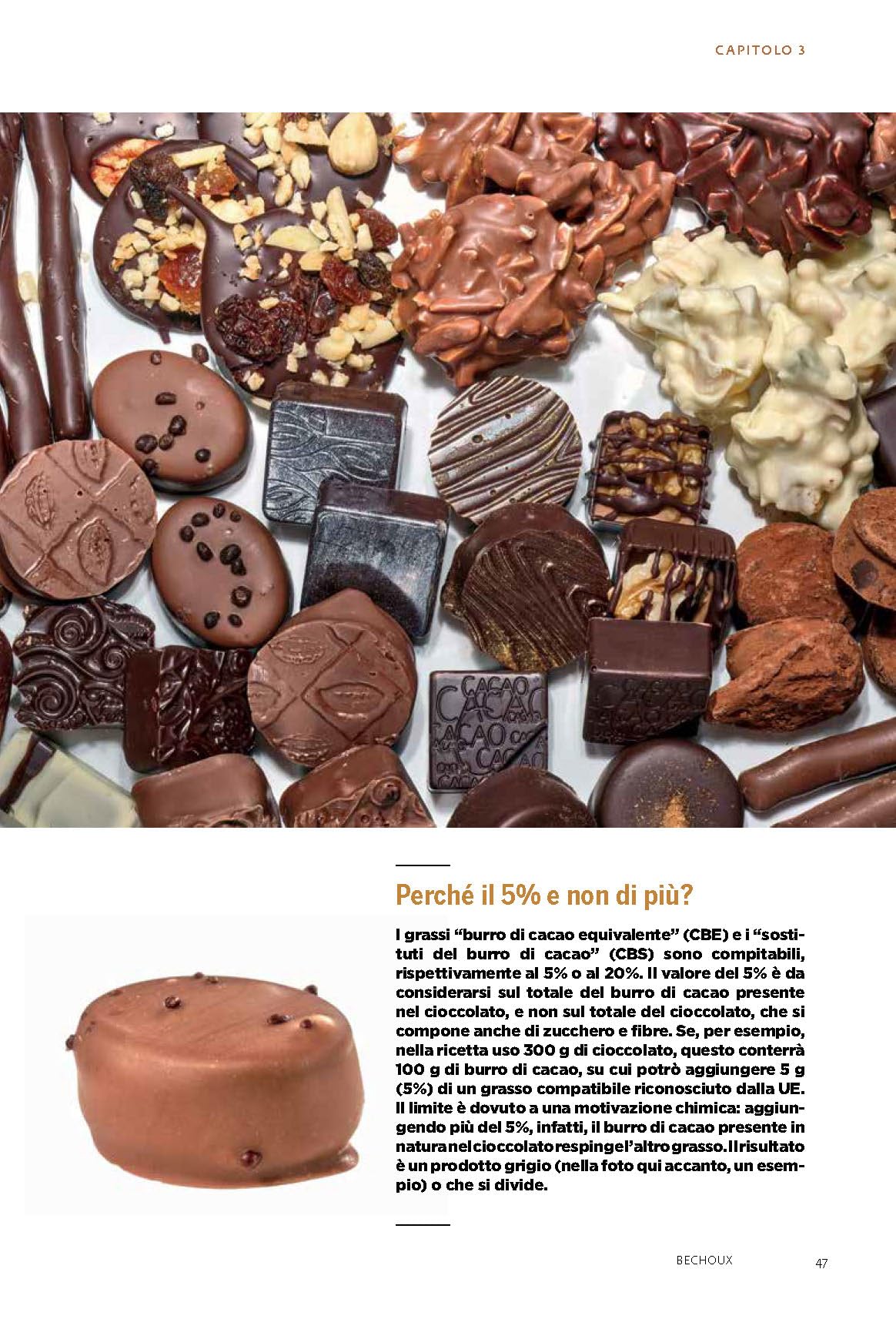 Il manuale del cioccolato. Tecnica, gestione, ricette. Guida pratica