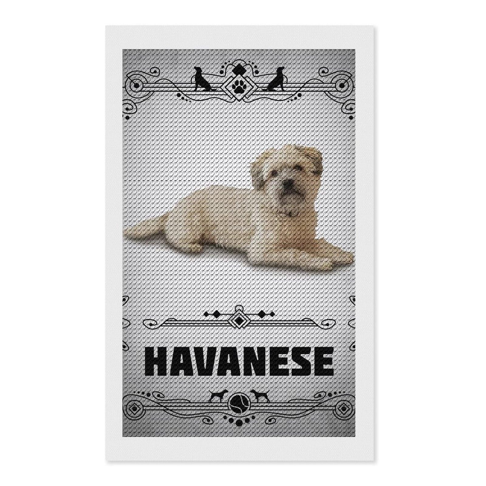 Junmoney Havanese Diamond Art Kit 12"x20", for Beginners, Vintage Style Decor, Good for Quiet Evenings, Festive Craft Gift