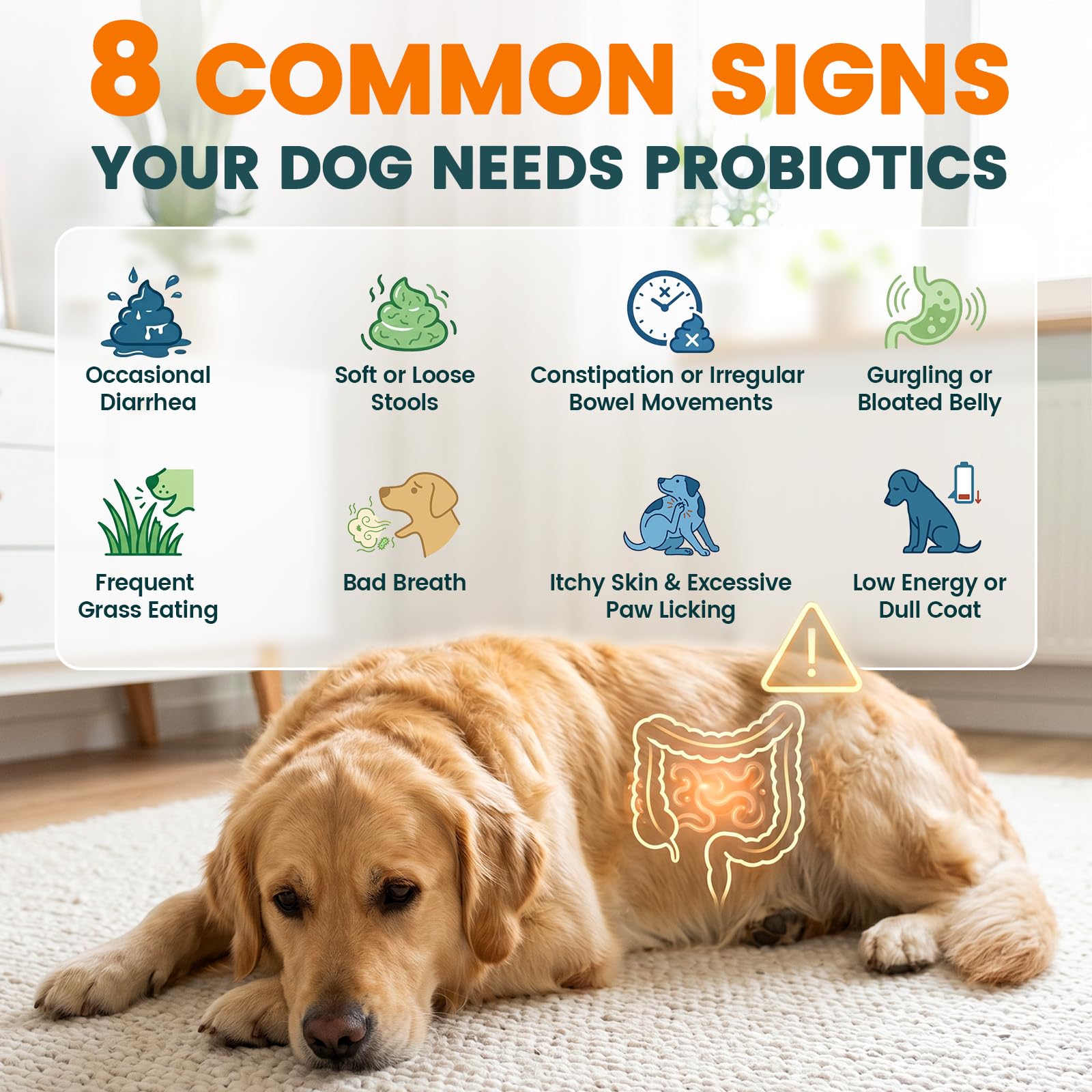 Carmelie Probiotiques pour chiens, 200 probiotiques digestifs et enzymes pour la santé intestinale avec citrouille, fibres pour chiens, anti-diarrhée, maux d'estomac, soulagement des gaz
