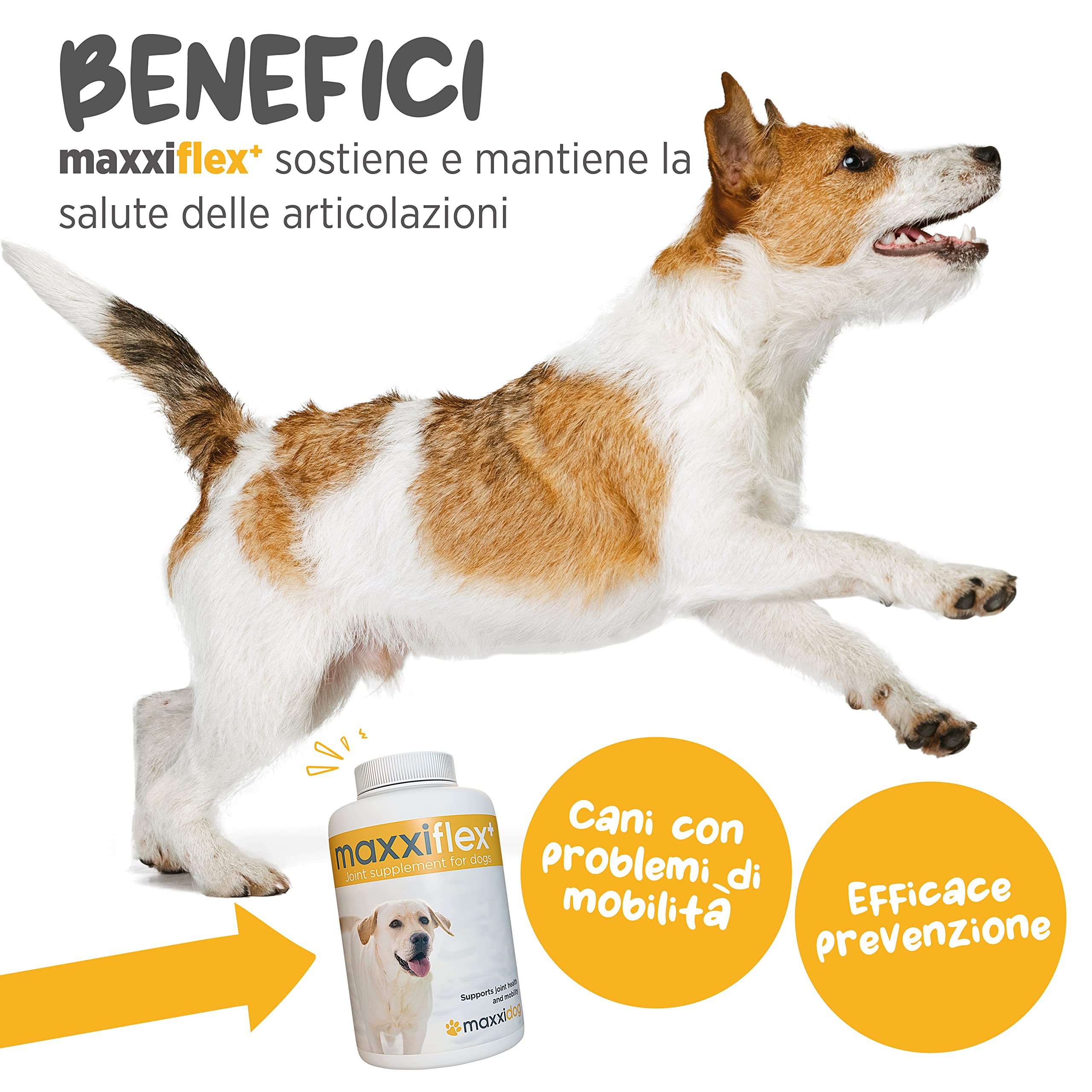 maxxiflex+ Integratore per Le Articolazioni del Cane per Migliorare la Mobilità e Avere Articolazioni in Ottima Salute – 120 Compresse