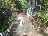 Review Image by Amazon Customer Amazon Customer