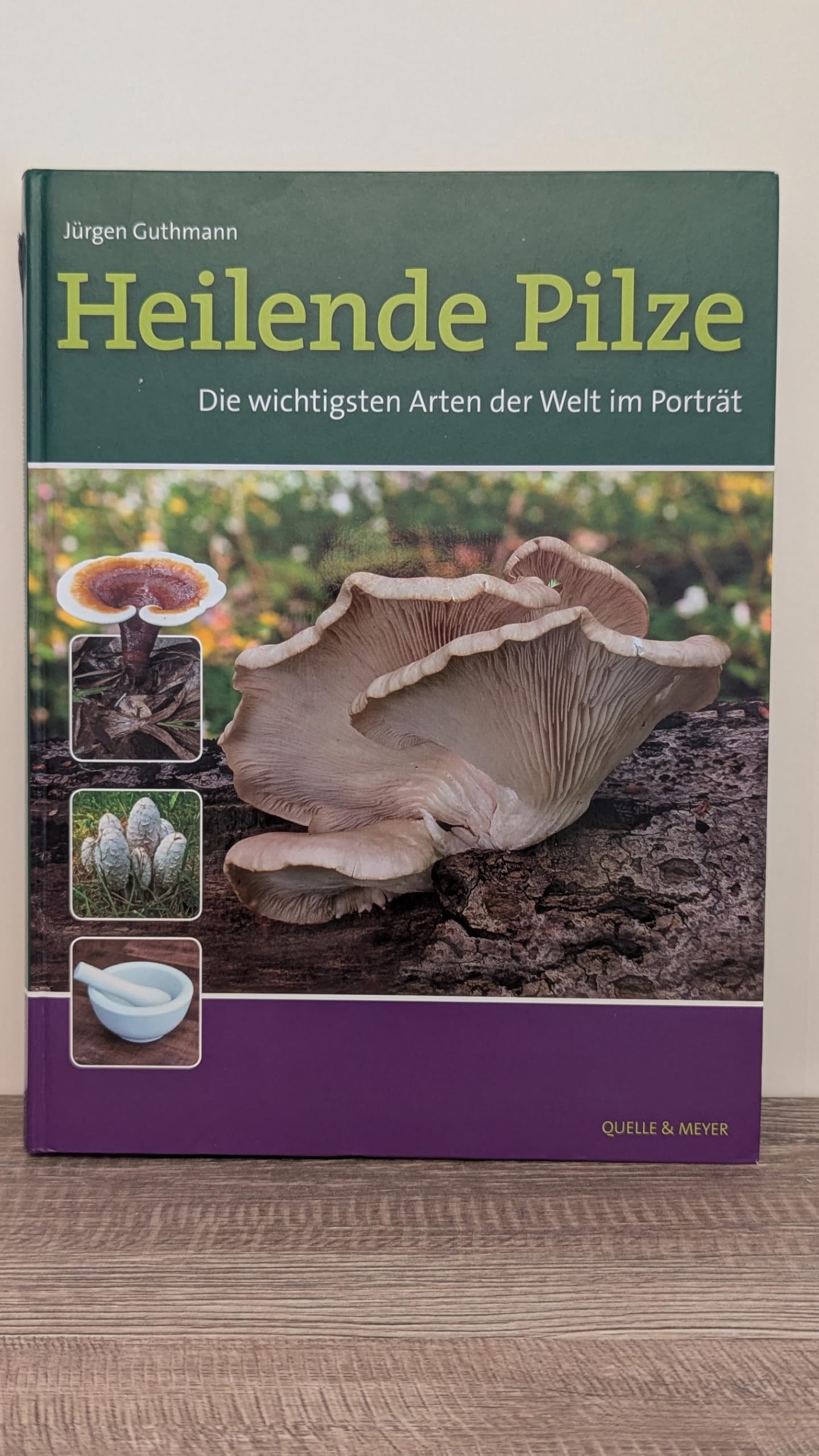 Heilende Pilze: Die wichtigsten Arten der Welt im Porträt
