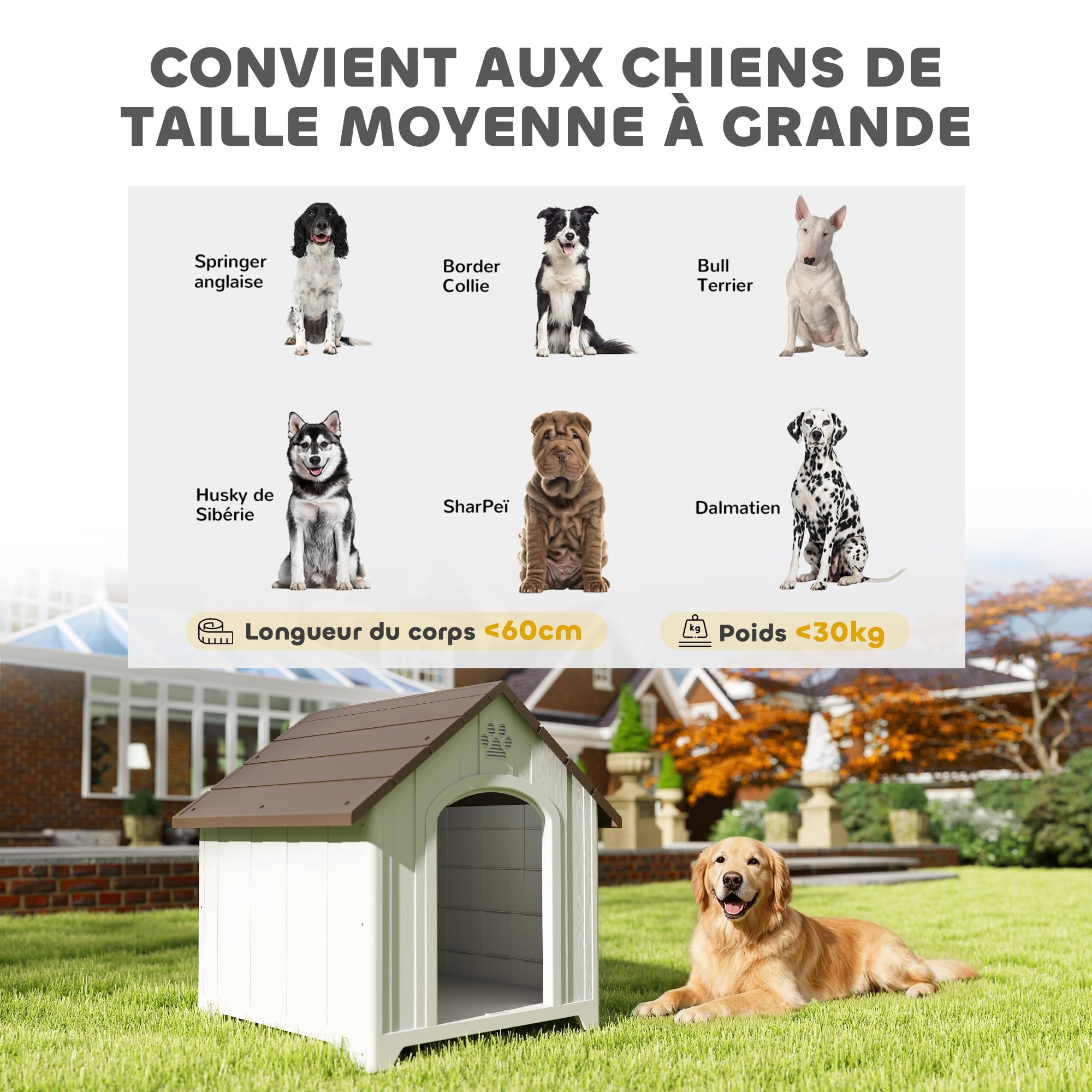 PawHut Niche pour Chien Extérieur Imperméable Plancher Surélevé Gris Clair
