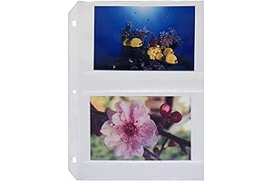C-Line 3-Ring Binder Photo Album for 4x6 Photos