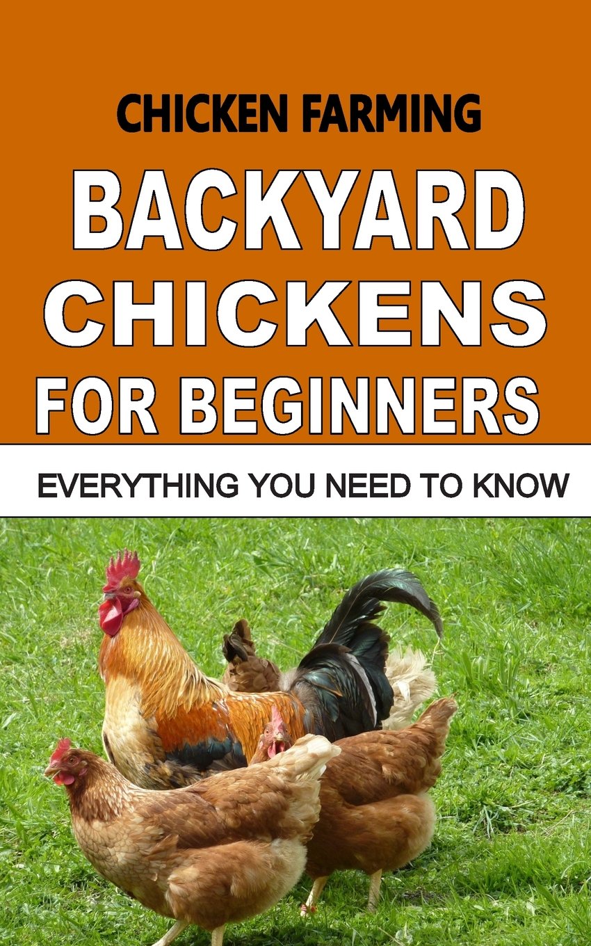 Chicken Farming Backyard Chickens For Beginners Everything You Need To ...