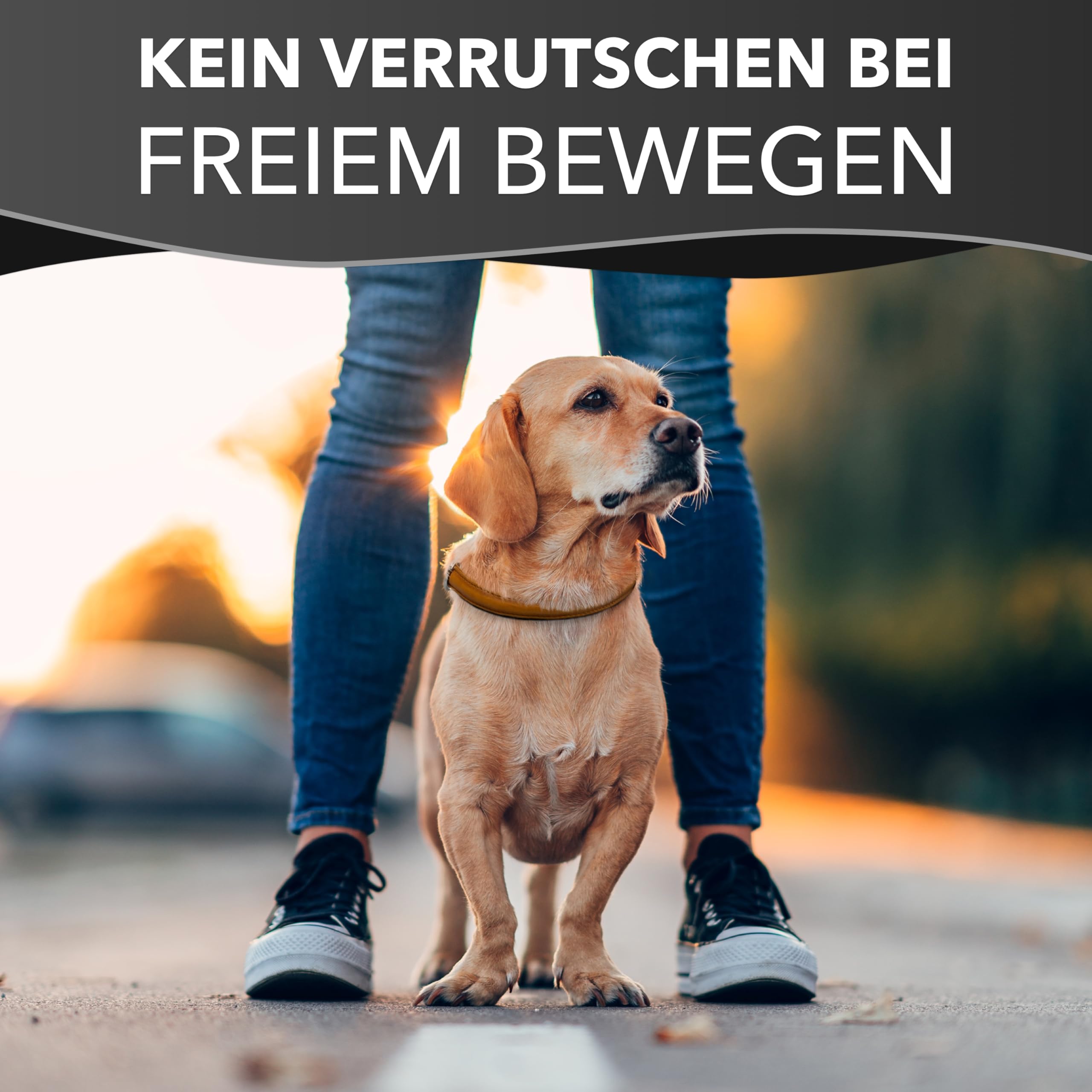 Collier Rond et Doux pour Chien Cognac, Taille S – 45 cm avec Noyau en Plastique intégré