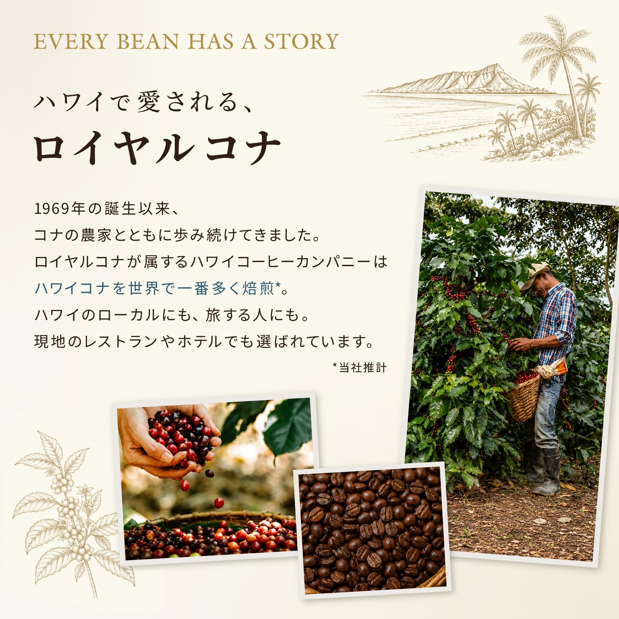 Amazon.co.jp: ☆父の日にハワイのコーヒー☆ロイヤルコナ ハワイコナ