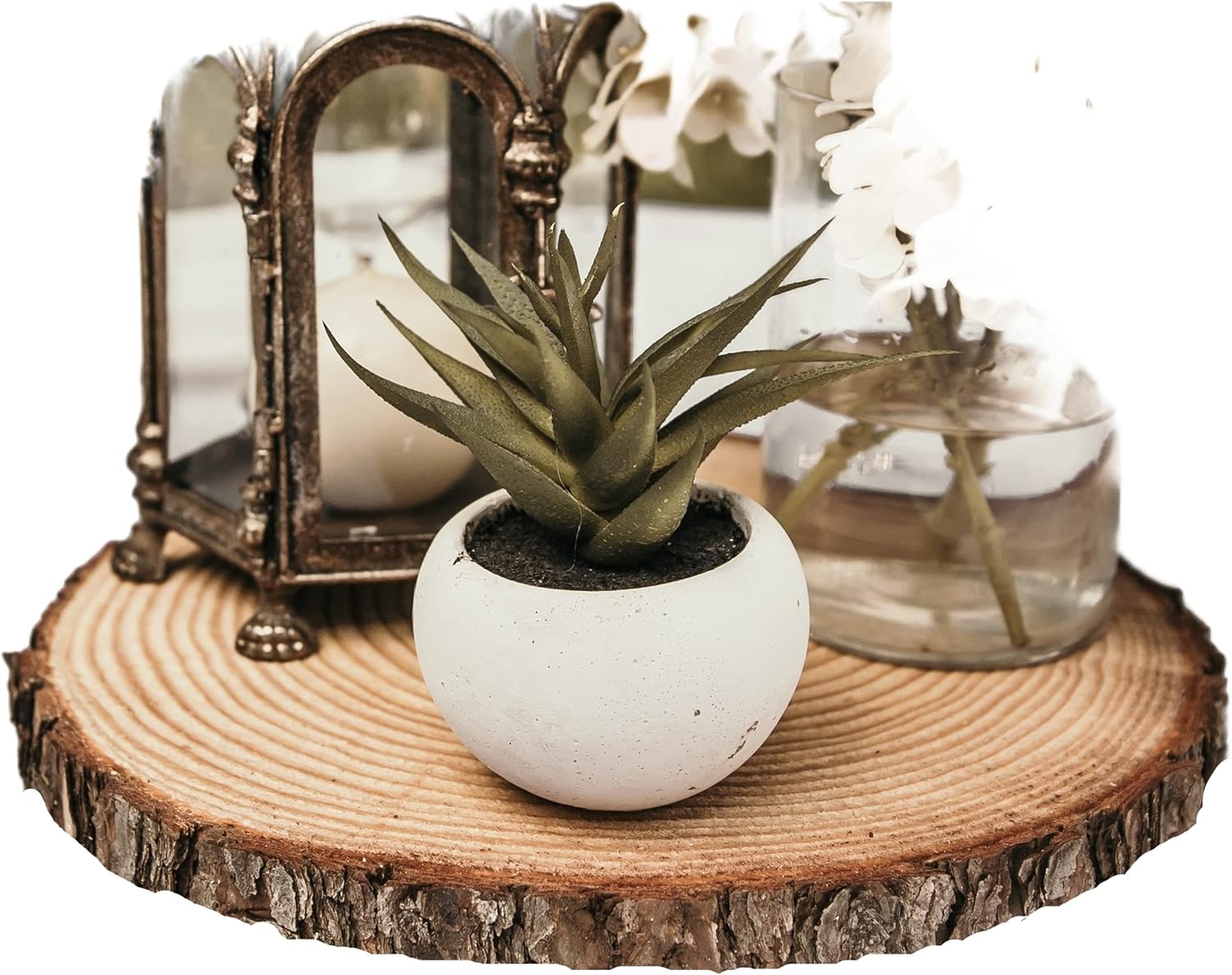 Set of (10) 11-12 inch wood slices for centerpieces! Wood slice centerpieces, wood rounds, tree slices (11 inch)