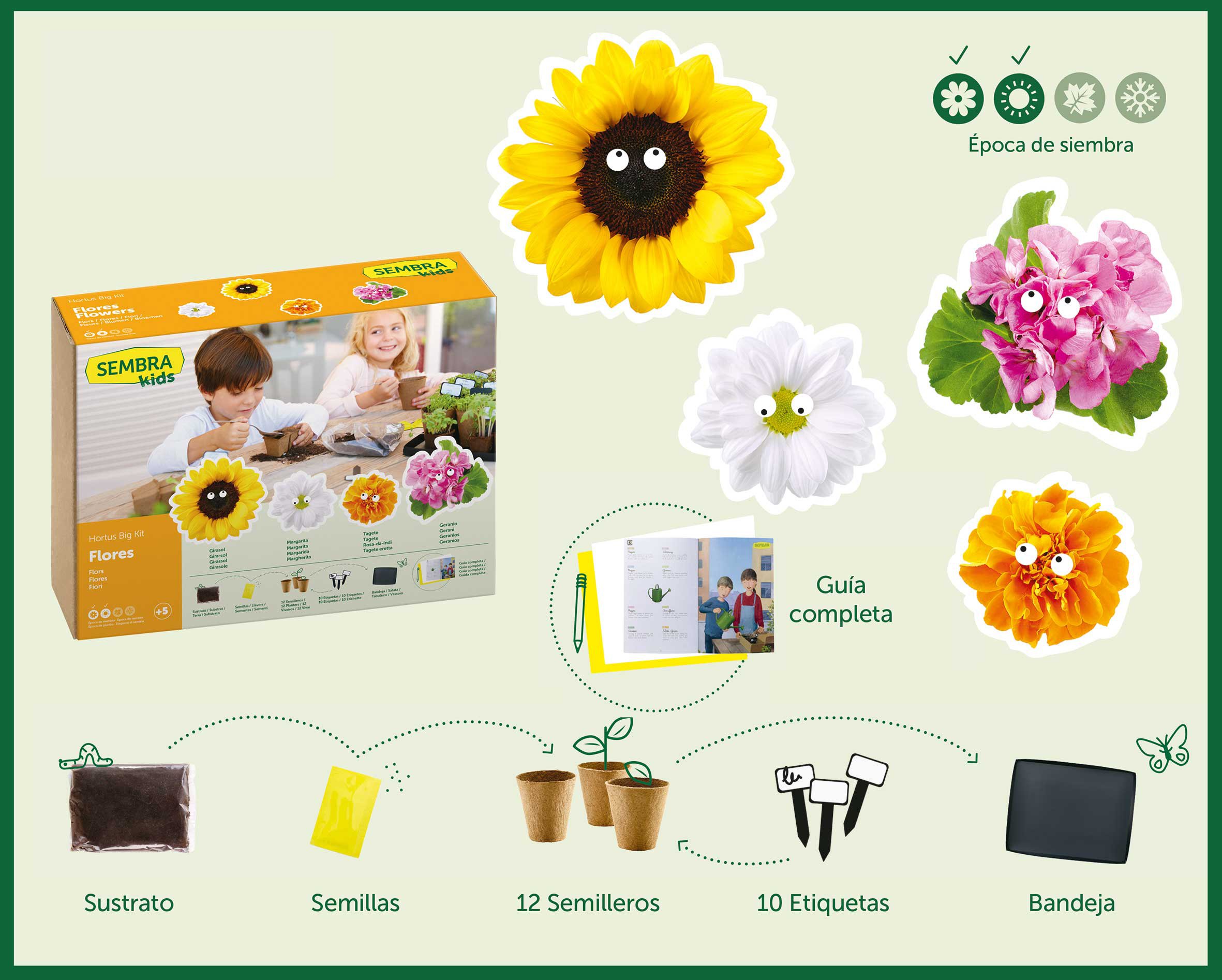 SEMBRA - juego educativo, Kit huerto Flores: Amazon.es: Jardín