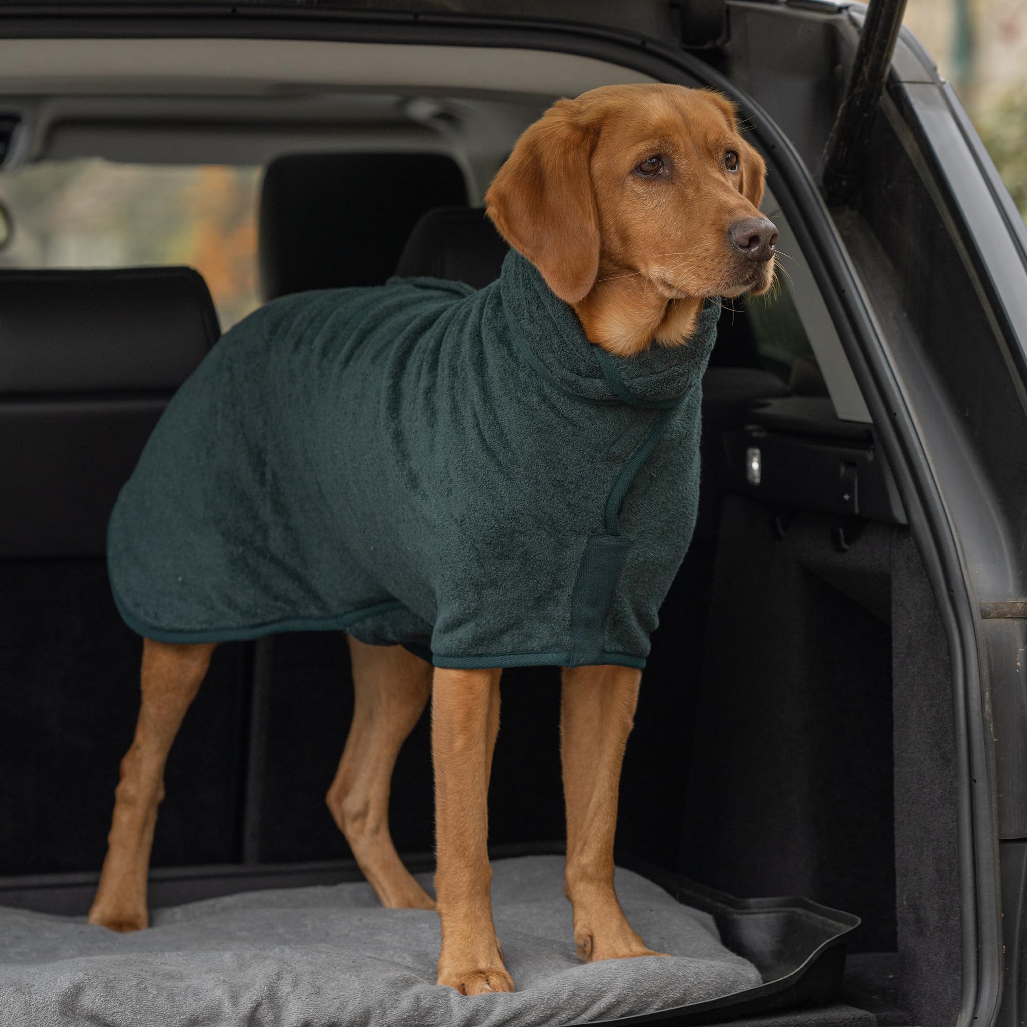 Ruff And Tumble Country Dog Corduroy Trim Moosgrün Hundebademantel