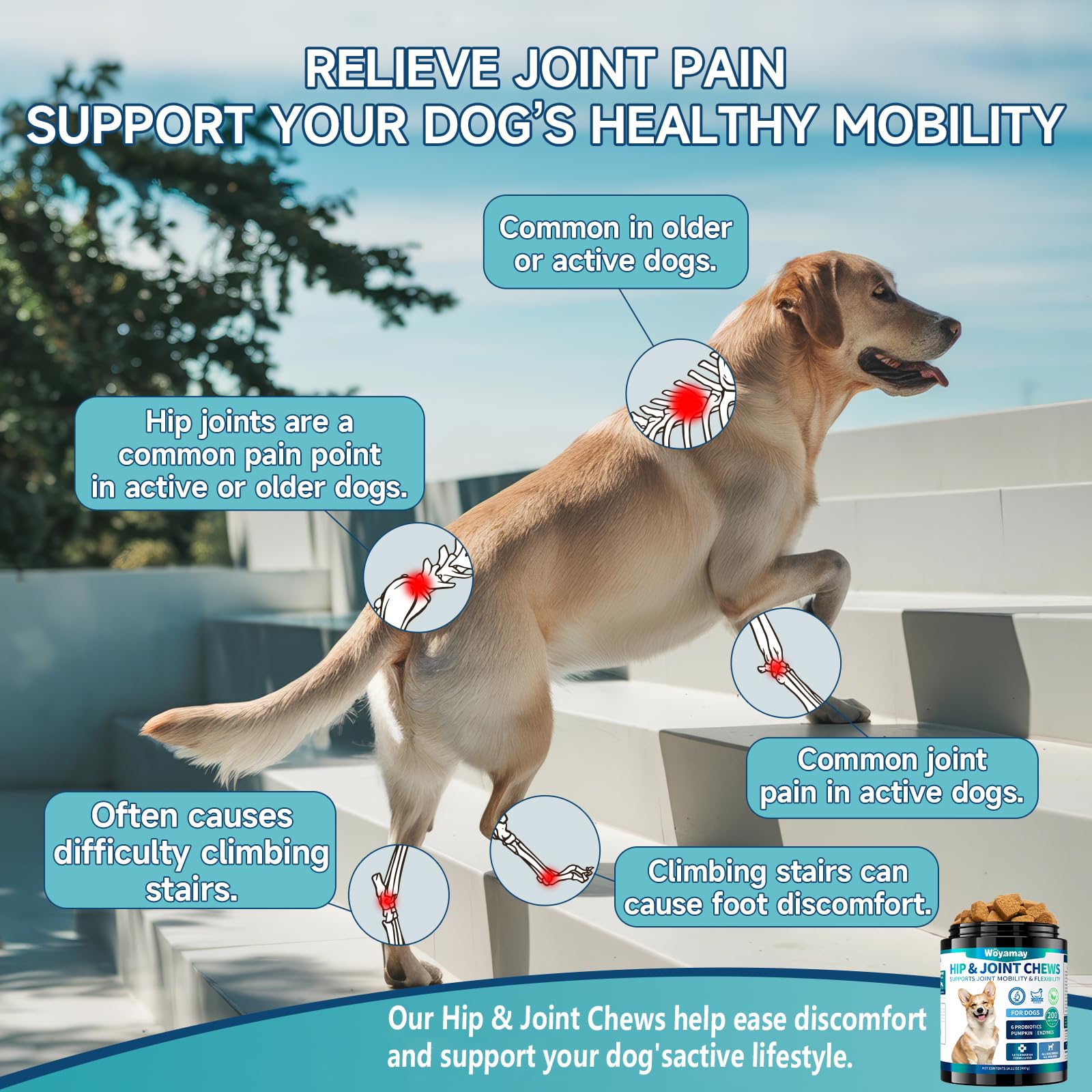 Cat Allergy Relief & Dog Hip and Joint Chews | 500 Crunchy & Creamy Anti-Itch Cat Chew + 200 Soft Dog Joint Chews with Glucosamine, Chondroitin, MSM | Seasonal Itch Relief & Mobility Support - image 2