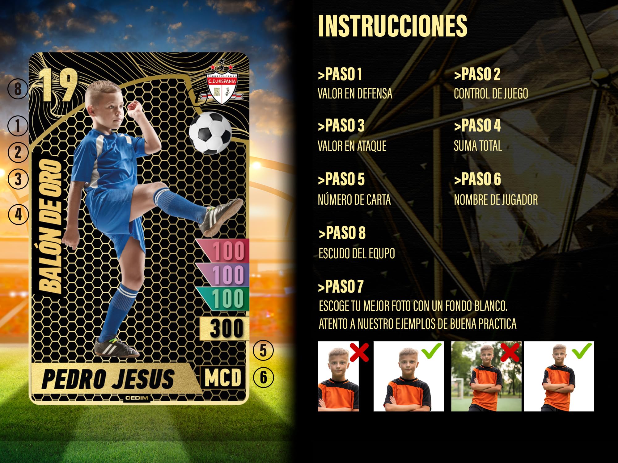 Balon de Oro Cromo Futbol Personalizado Varios Medidas Materiales