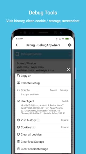 Debug Anywhere – vue 3