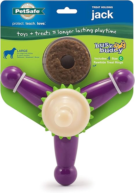 busy buddy dog