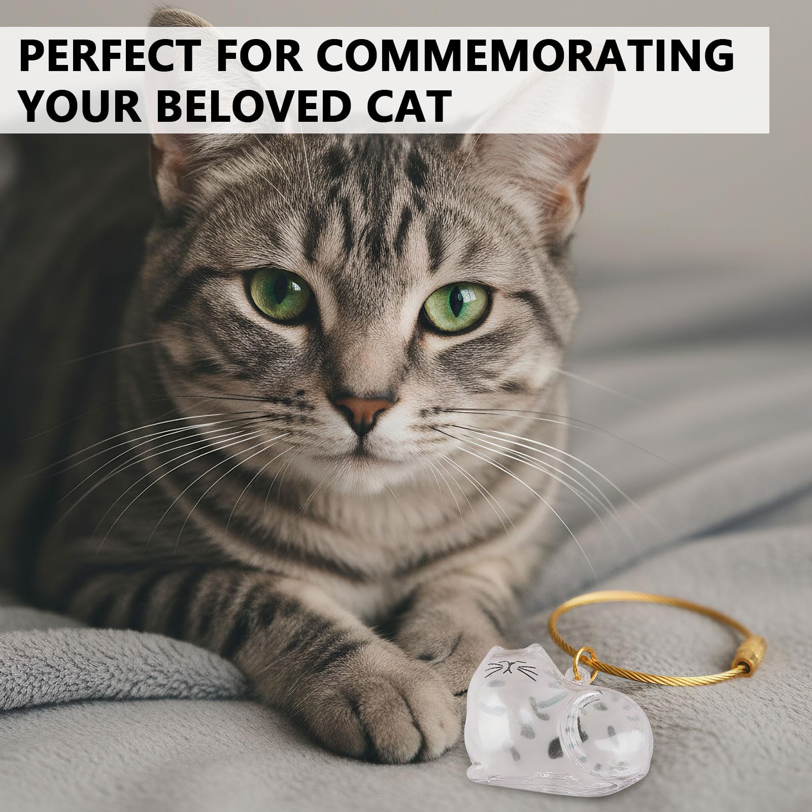 Lot de 6 Porte-Clés en Poils de Chat, Capsules Commémoratives en Acrylique Transparent, Boîte de Rangement pour Poils d’animaux, Idée Cadeau DIY pour Amoureux des Animaux