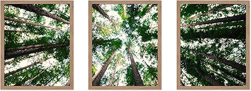 Miniatura 47 de Poster Master Póster de ilustración vintage de 3 piezas, impresión botánica retro, arte de pared sin marco de 8 x 10 pulgadas, regalo para artista,