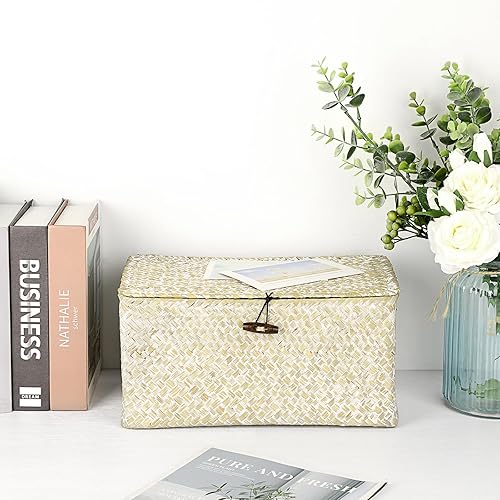 Vista 59 de Hipiwe Cestas de mimbre con tapa, cesta de pastos marinos tejida a mano, cestas rectangulares para el hogar, cajas para estantes, armario, Café