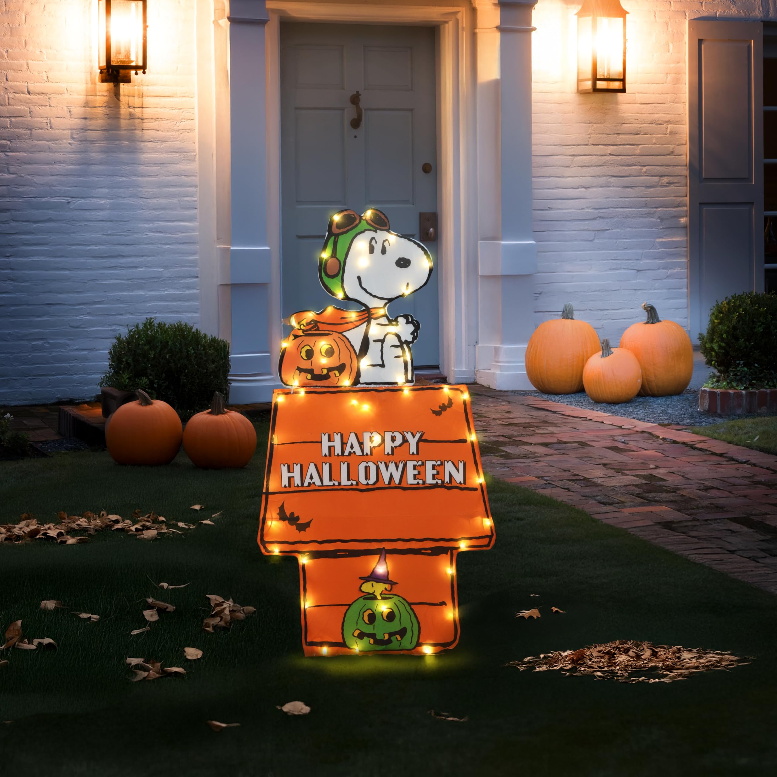 Amazon.com: PRODUCTWORKS Peanuts 36 INCH 2 Dimensional Lighted