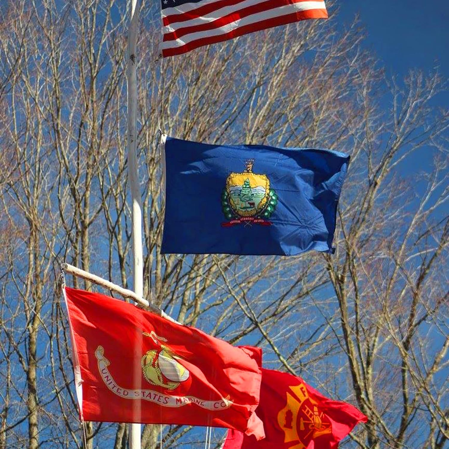 Vermont Flag feedback