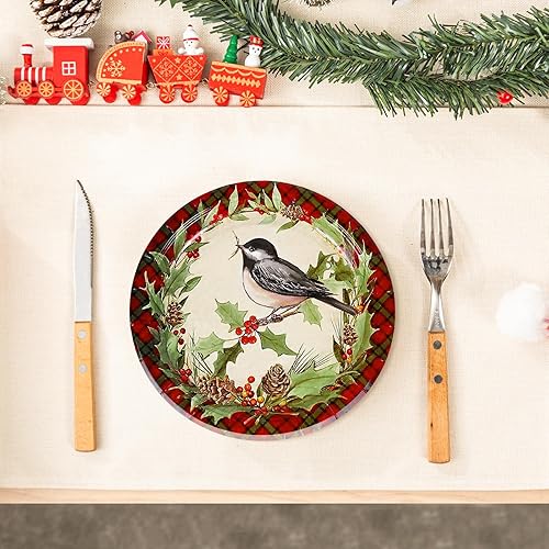 Miniatura 5 de AnyDesign - Platos de papel de Navidad a cuadros rojos y verdes, platos redondos desechables de pájaro de 9 pulgadas, vajilla de Navidad para