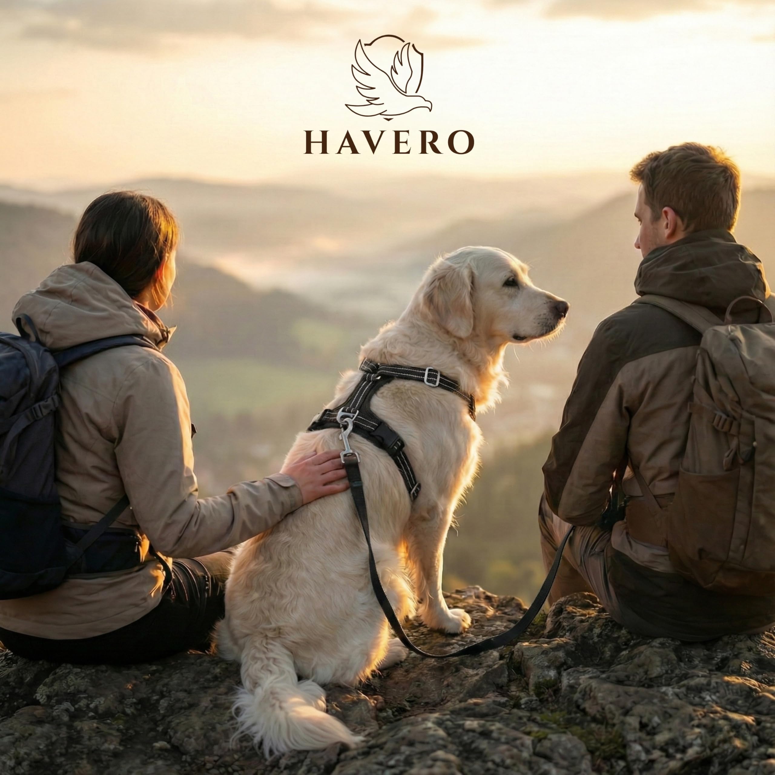 Hundegeschirr Easy-On-Clip – [Kein Überkopfziehen] | Anti-Zug Y-Geschirr Gepolstert Reflektierend Atmungsaktiv Brustgeschirr – kleine, mittelgroße & Grosse Hunde Geschirr (Schwarz, M)