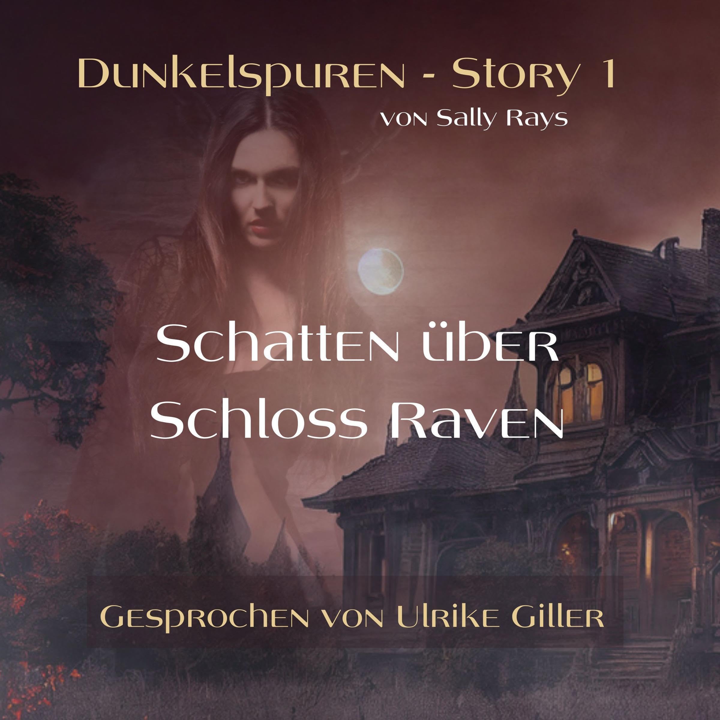 Cover art for Schatten über Schloss Raven