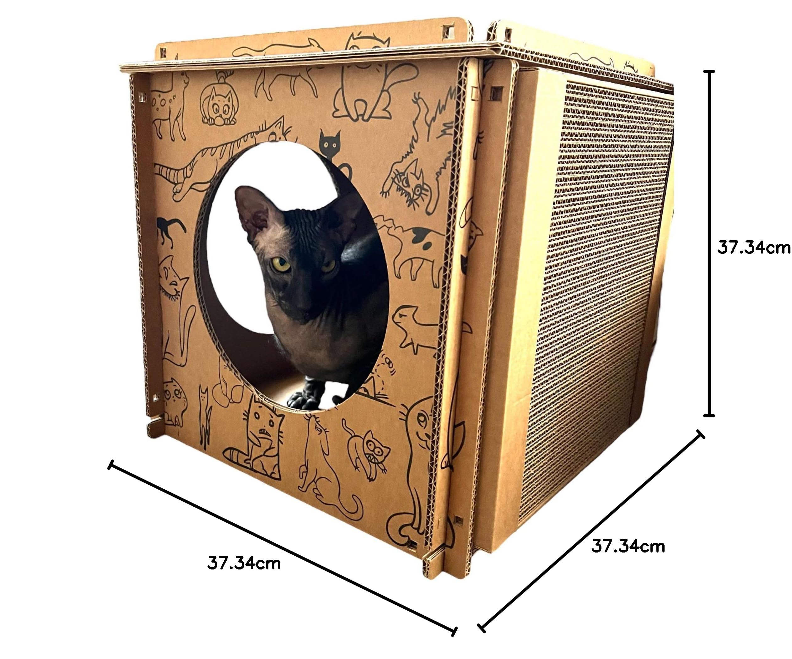 Vind kattenhuis in Katten-accessoires op