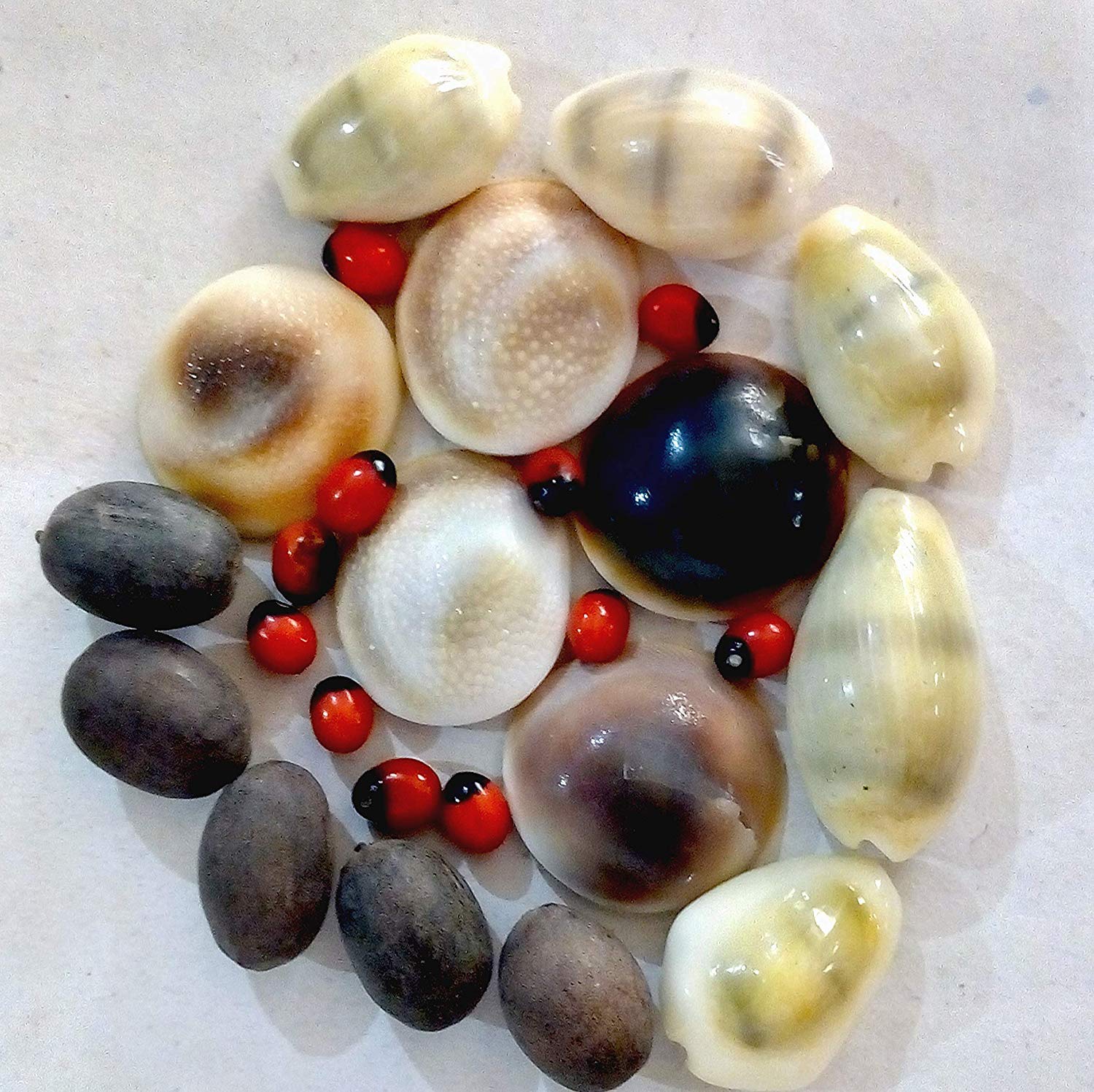 Pmw- Combo of Red Gunja/Chirmi Beads + Kamal Gatte + Kauri/Kaudi + Gomti Chakra (5 Pieces Each) for Puja, Worship, Protection & Lakshmi Pooja