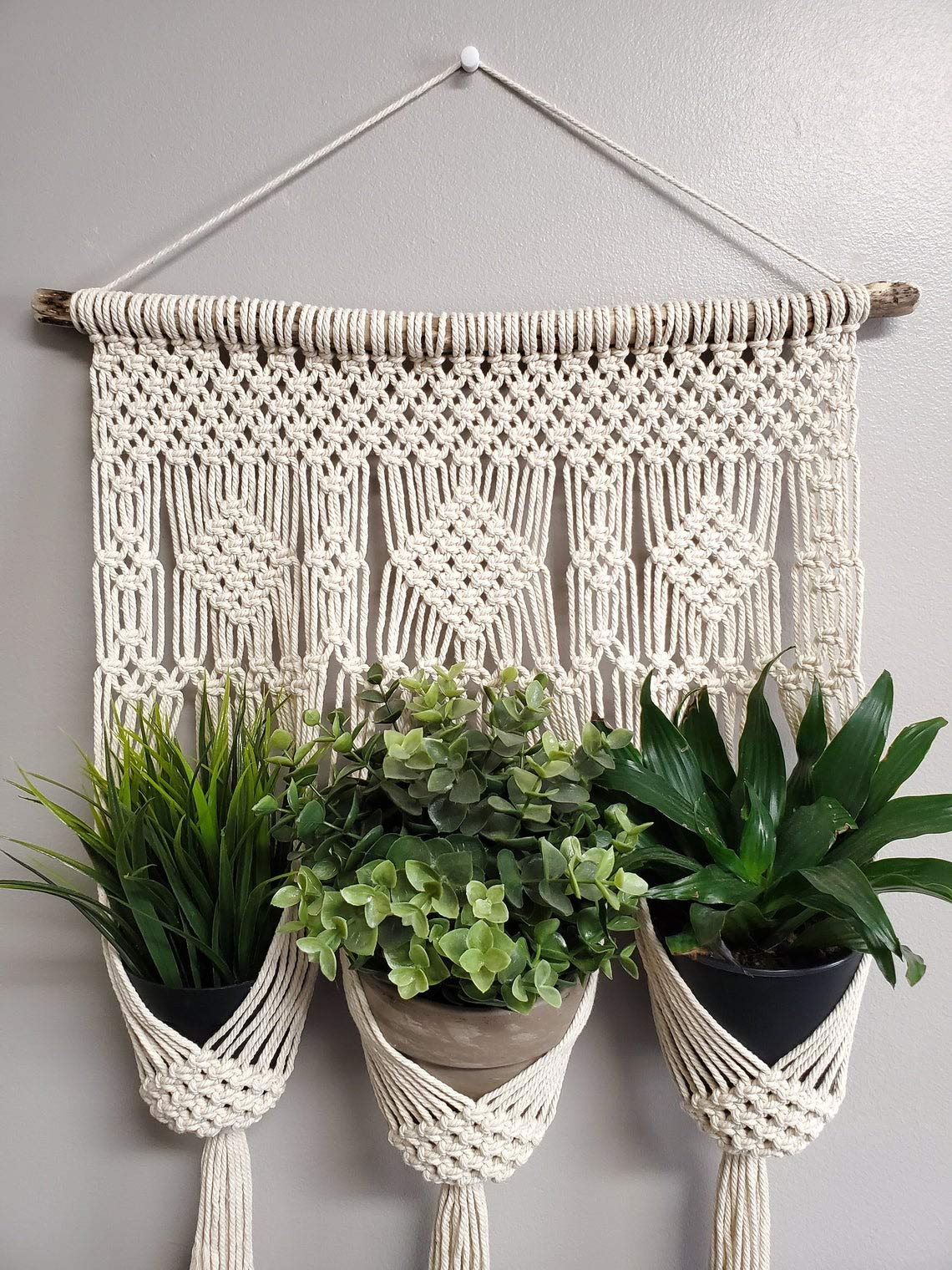 See full amazon price history chart for Dxyz Cotton Rope Planter, Ivory, 16x34 Inches Dxyz Cotton Rope Planter, Ivory, 16x34 Inches (B08GPY94DD) Amazon Price History, Amazon Price Tracker