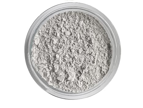 1 Pound Calcium Carbonate Limestone Powder by The Seed Supply