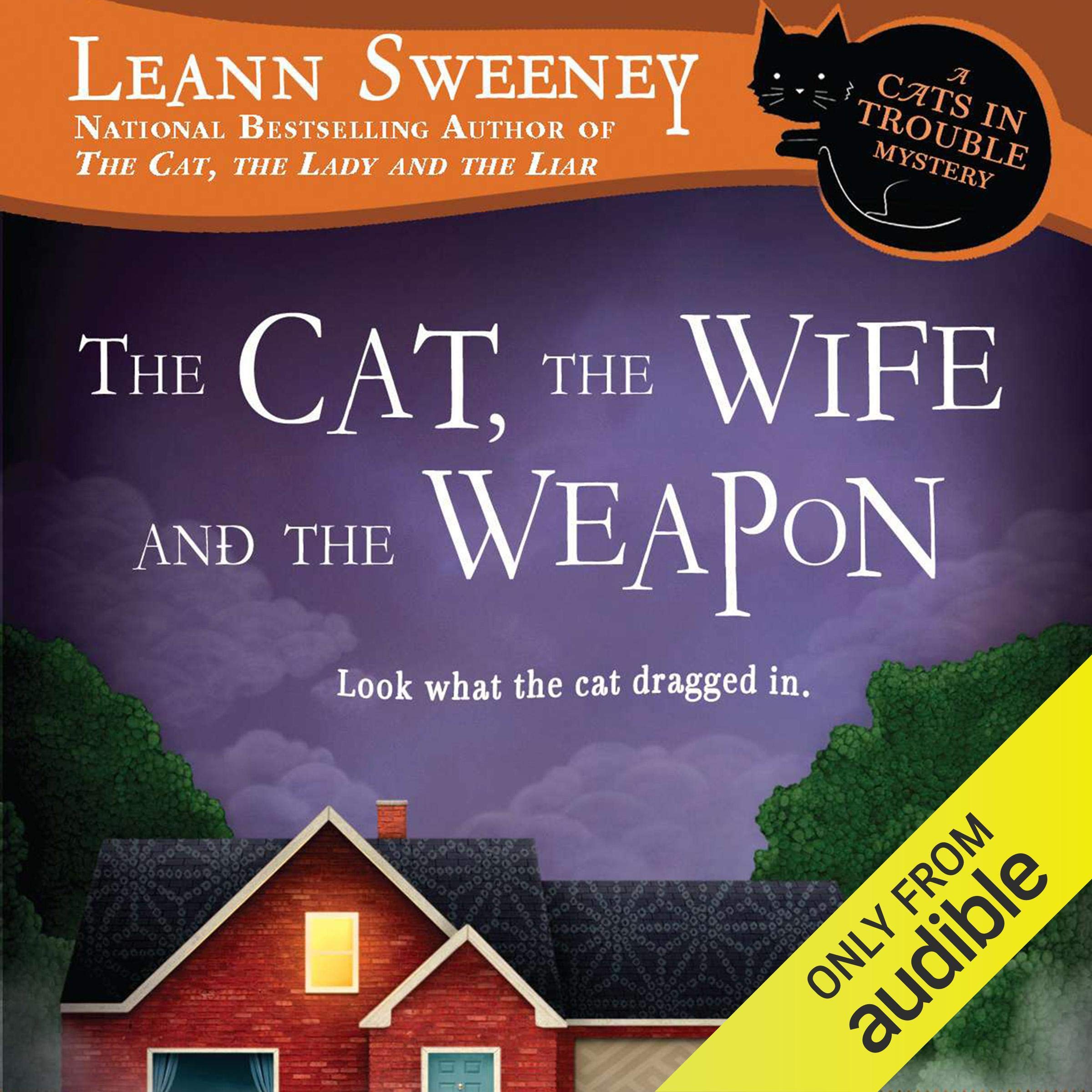 Cover art for The Cat, the Wife and the Weapon