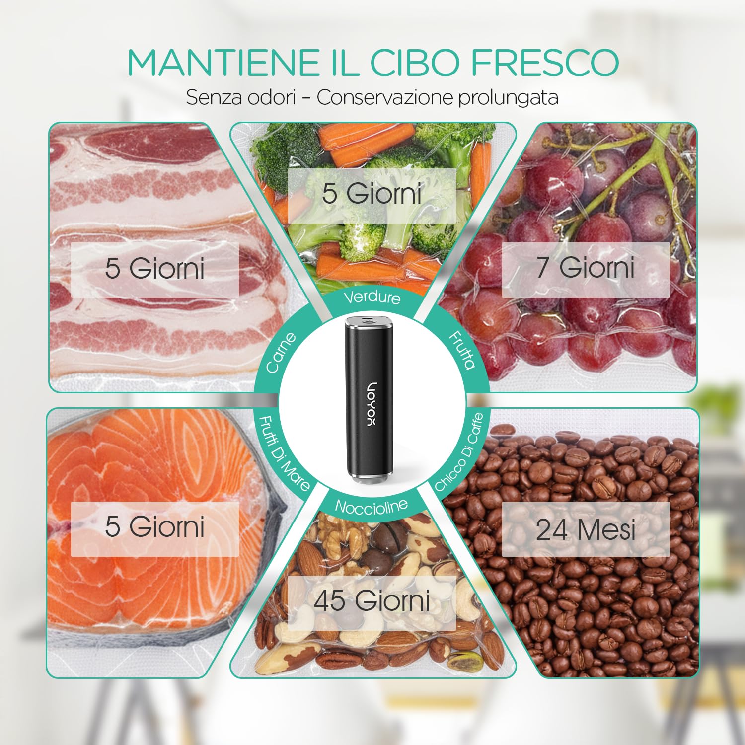 VOYOR Macchina Sottovuoto Alimenti Portatile per la Conservazione e lo Stoccaggio Degli Alimenti Macchina Sottovuoto con 5 Sacchetti Sottovuoto Sigillatrice Sottovuoto (1 Pompa+5 Sacchetti)