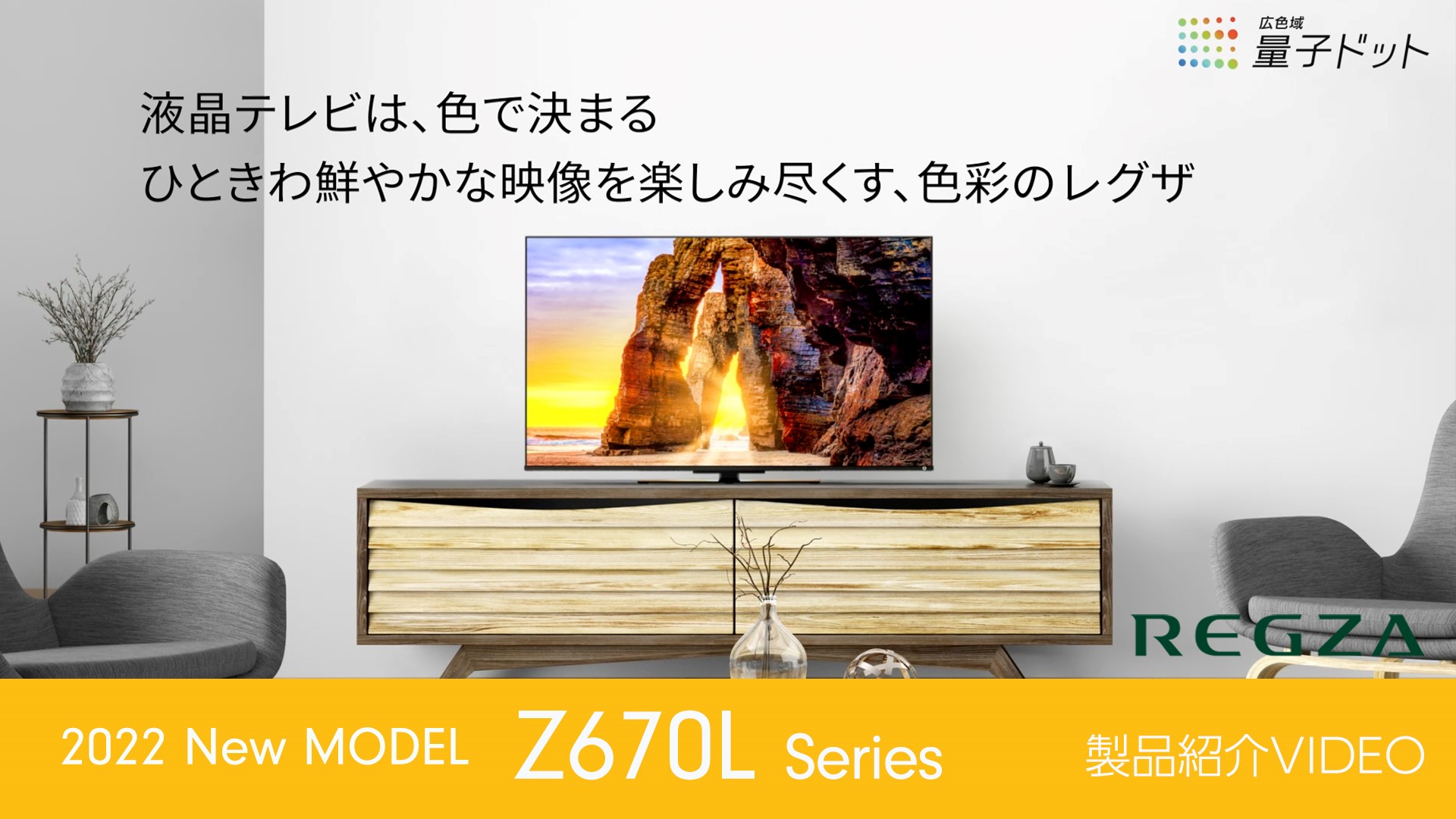 東芝 REGZA 50Z670L 量子ドット4Kテレビ 50インチ 東芝 REGZA 50Z670L 量子ドット4Kテレビ 50インチ TVS REGZA