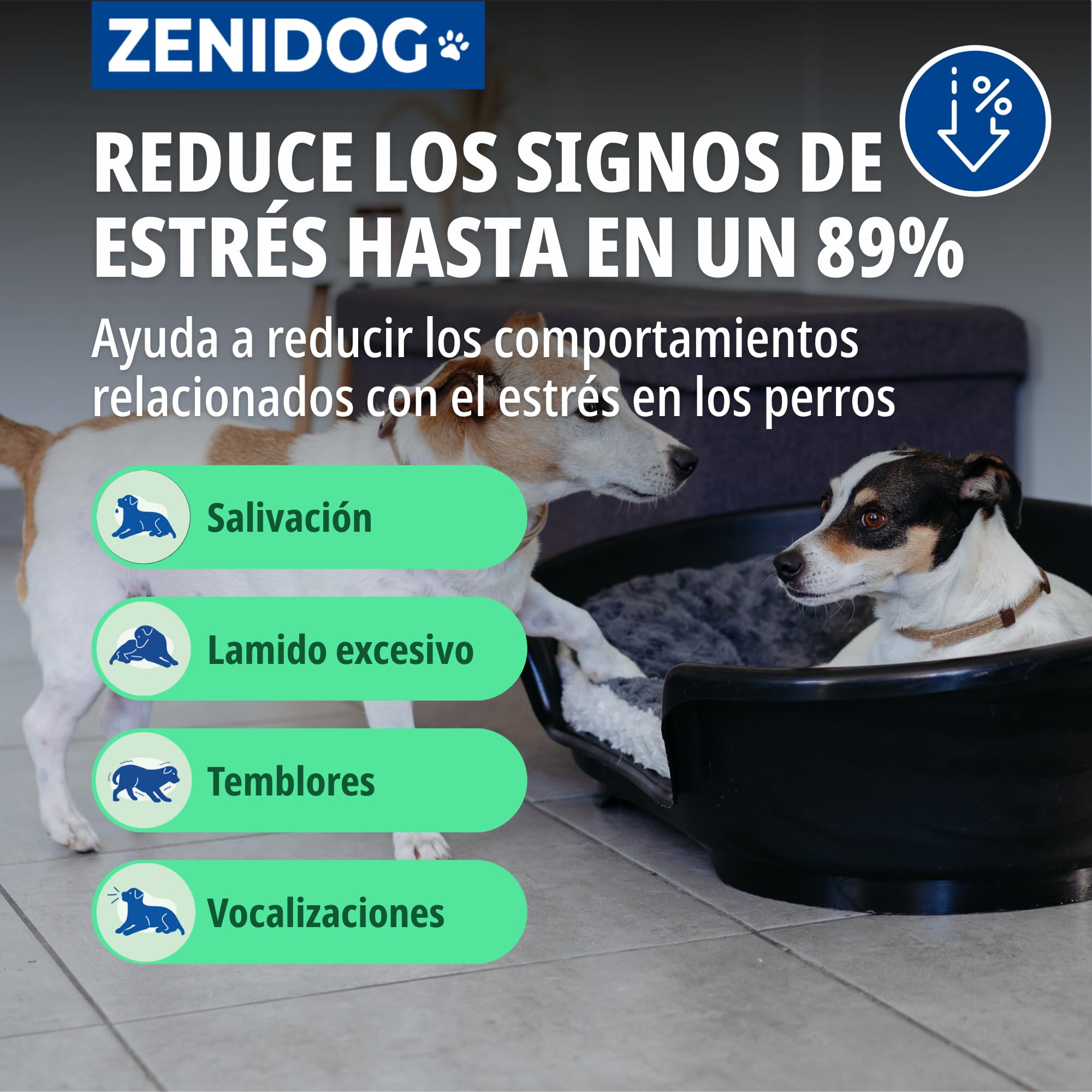 Virbac Zenidog Collar Calmante Perros Pequeños y Cachorros - Antiestrés con Feromonas - Dura 3 Meses - Talla S - 39cm
