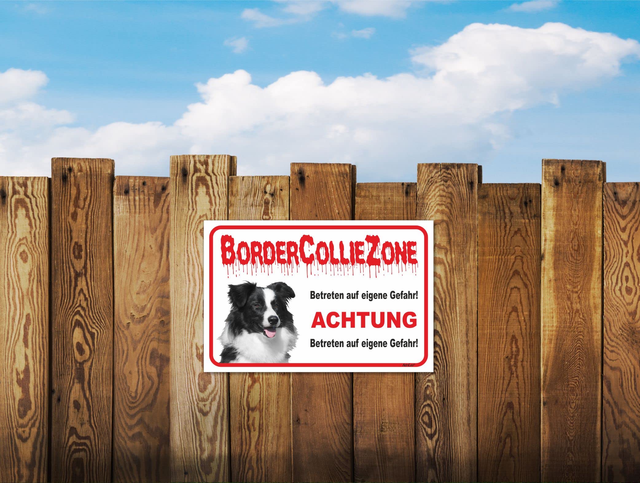 Warnschild 'Vorsicht Border Collie' – 30x40 Cm, Aluminium-Verbundplatte | UV-beständig, Wetterfest, Made In Germany